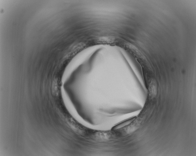 X0000088400764200706191357