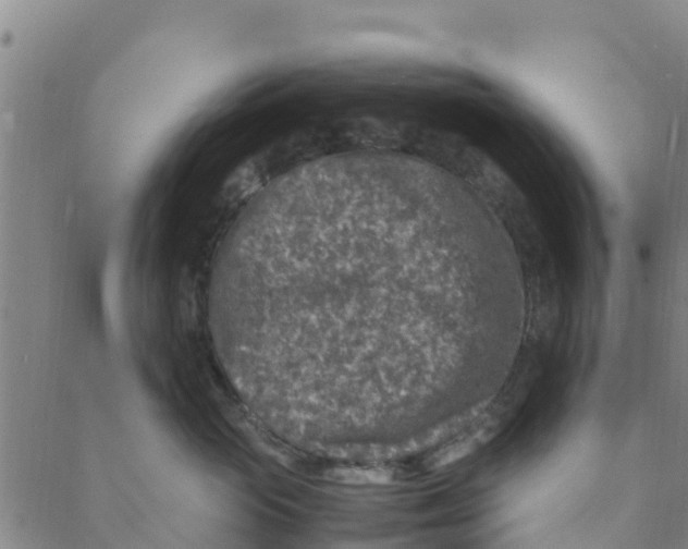 X0000088400765200706191357