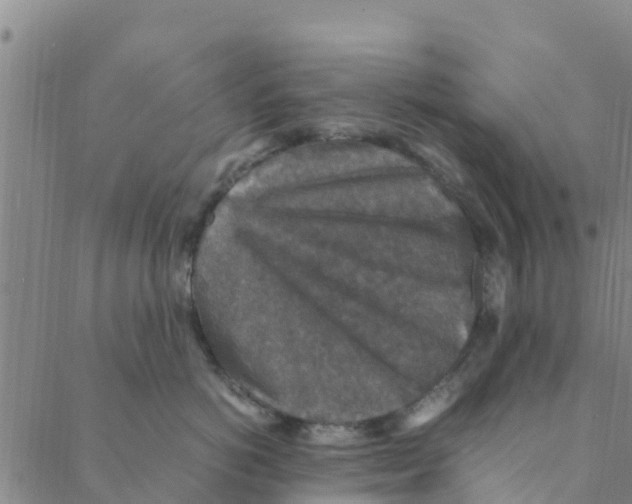 X0000088400766200706191357