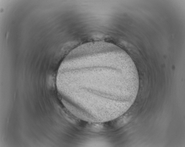 X0000088400768200706191357