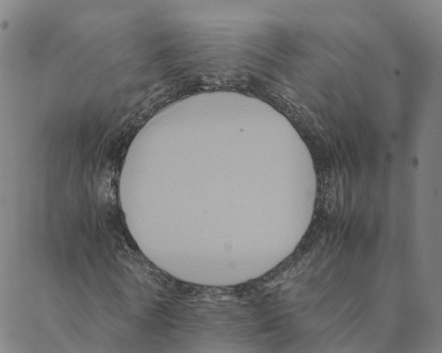 X0000088400770200706191357