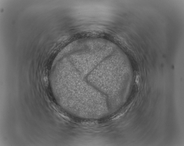 X0000088400771200706191356