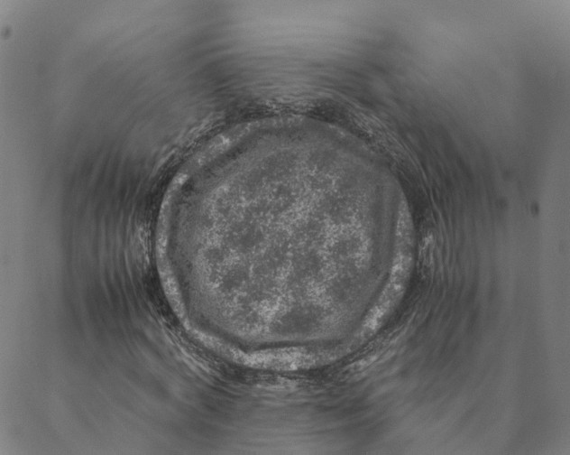 X0000088400772200706191356