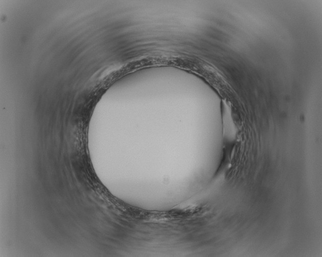 X0000088400773200706191356