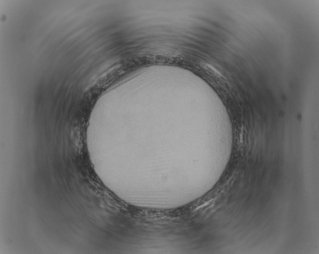 X0000088400774200706191356