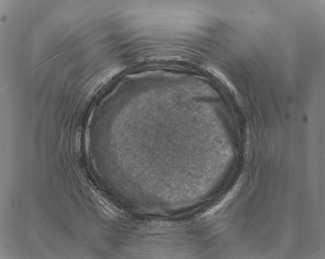 X0000088400777200706191356