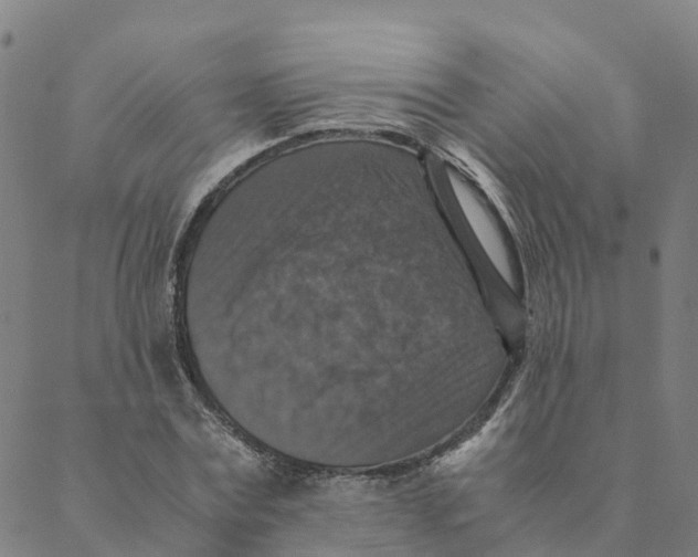 X0000088400779200706191356