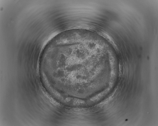 X0000088400780200706191356