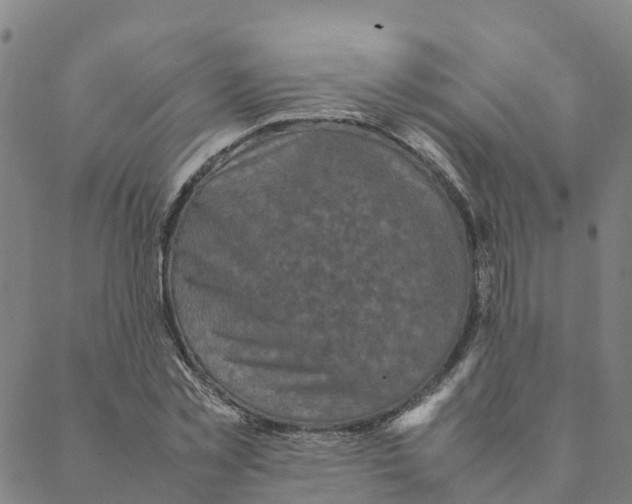 X0000088400781200706191356