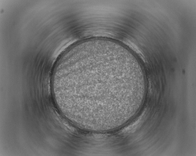 X0000088400782200706191356