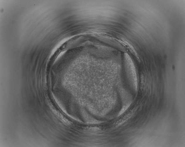 X0000088400784200706191356