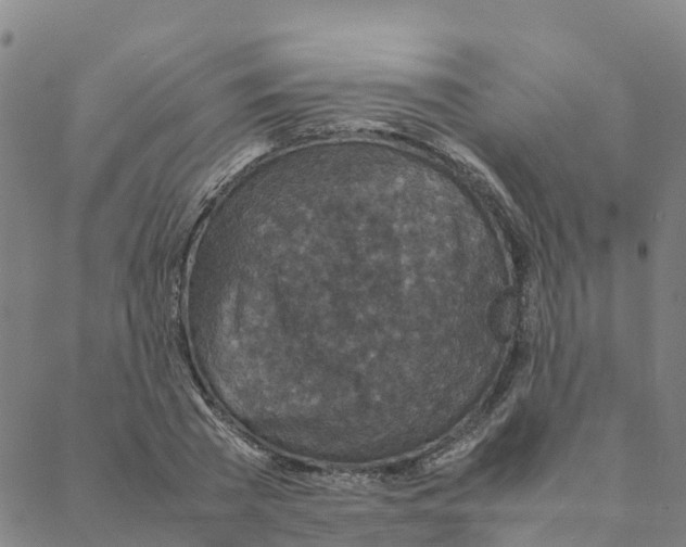 X0000088400785200706191356