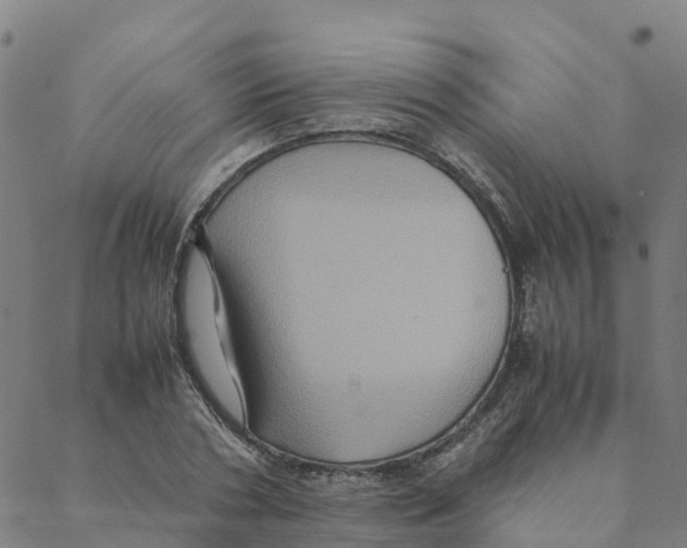 X0000088400786200706191356