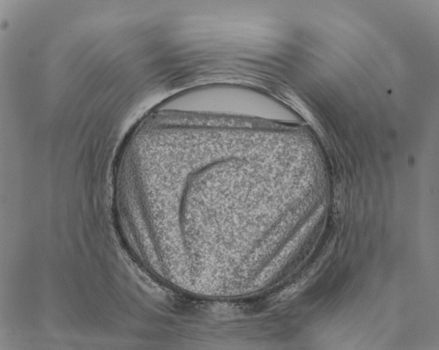 X0000088400787200706191356