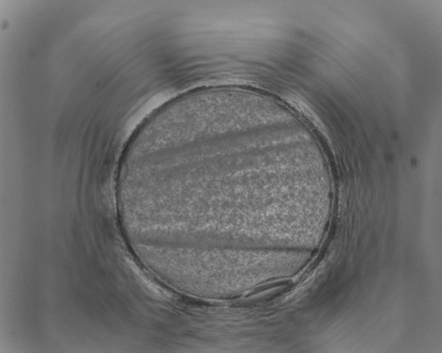 X0000088400789200706191356