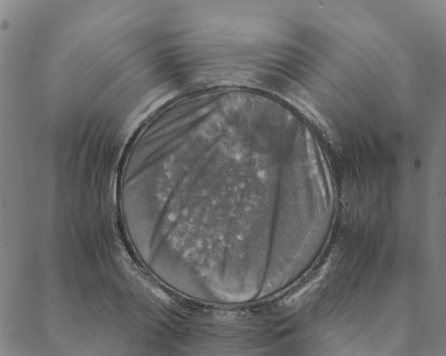 X0000088400790200706191356