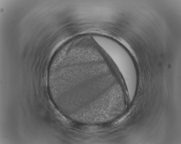 X0000088400791200706191356