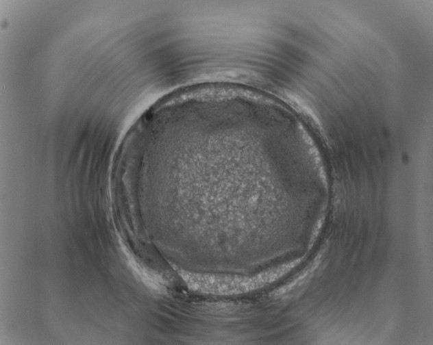 X0000088400792200706191356