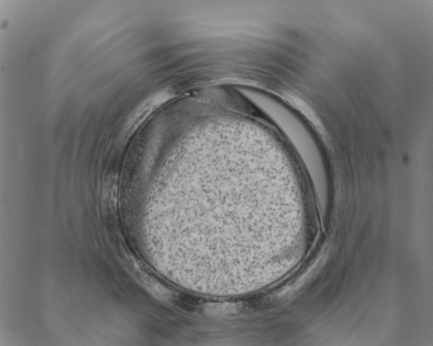 X0000088400793200706191356