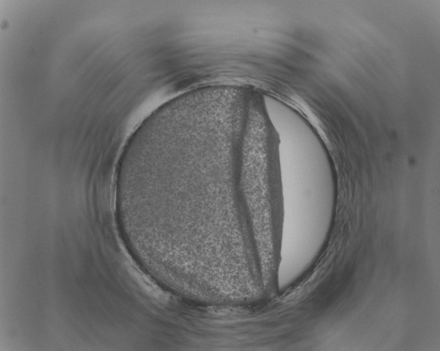 X0000088400795200706191356