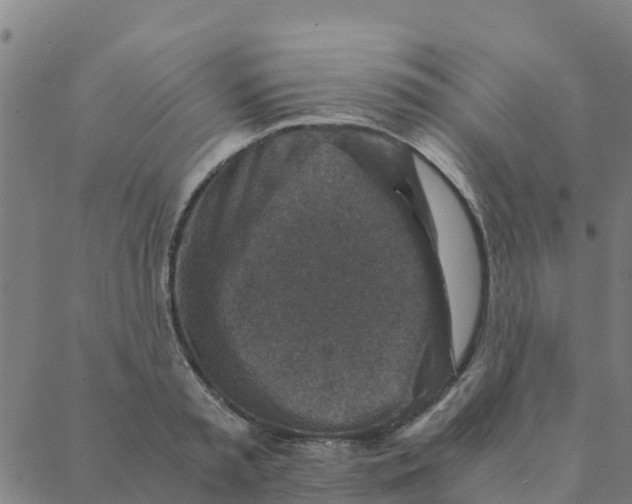 X0000088400797200706191356