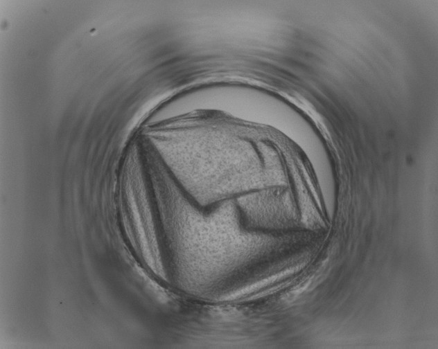 X0000088400799200706191356