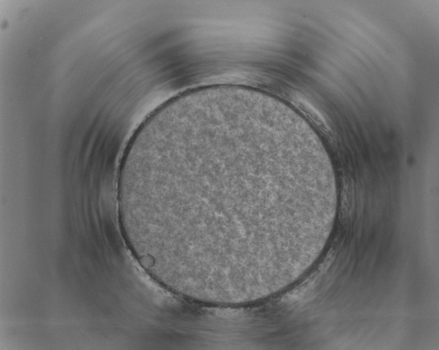 X0000088400800200706191356