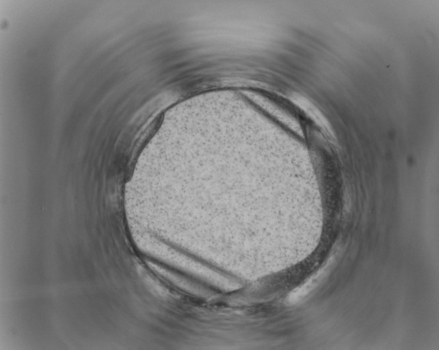 X0000088400801200706191356