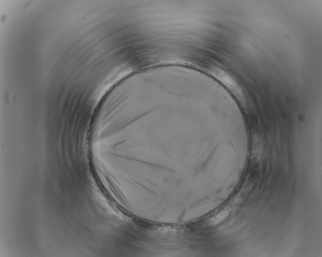 X0000088400806200706191356