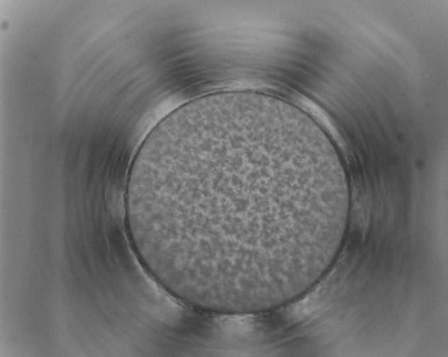 X0000088400810200706191356