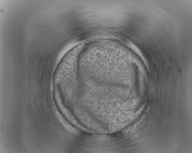 X0000088400811200706191356