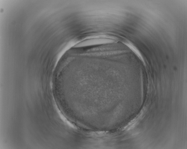 X0000088400813200706191356