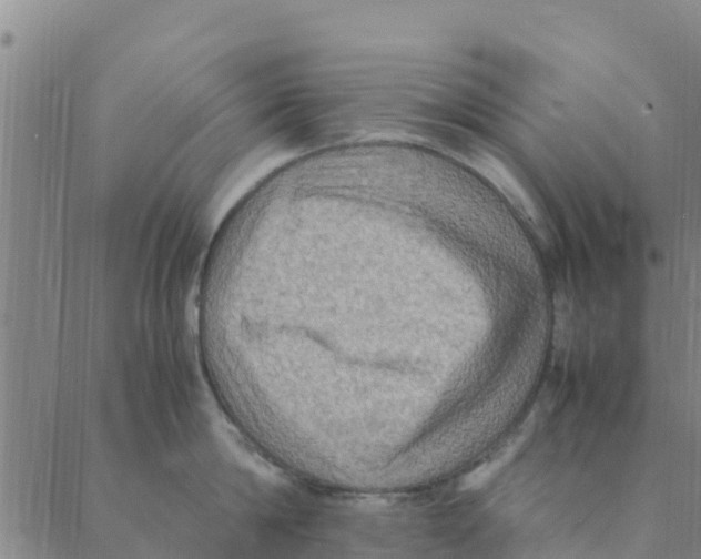 X0000088400814200706191356