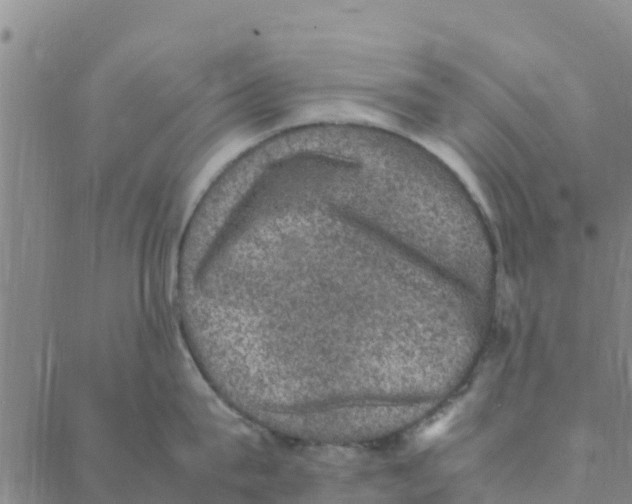 X0000088400815200706191356