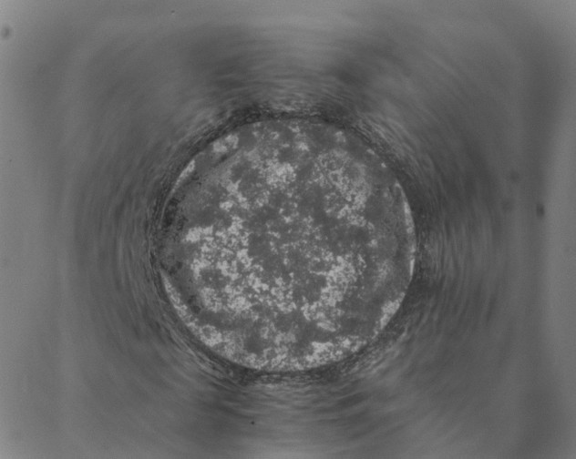 X0000088400817200706191355