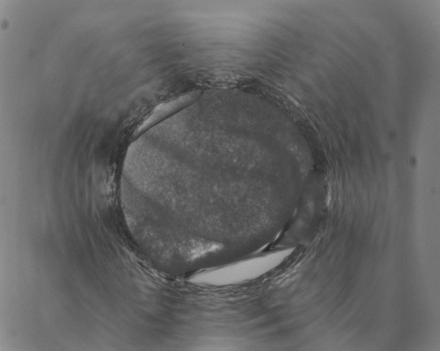 X0000088400818200706191355