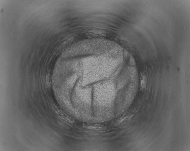 X0000088400819200706191355