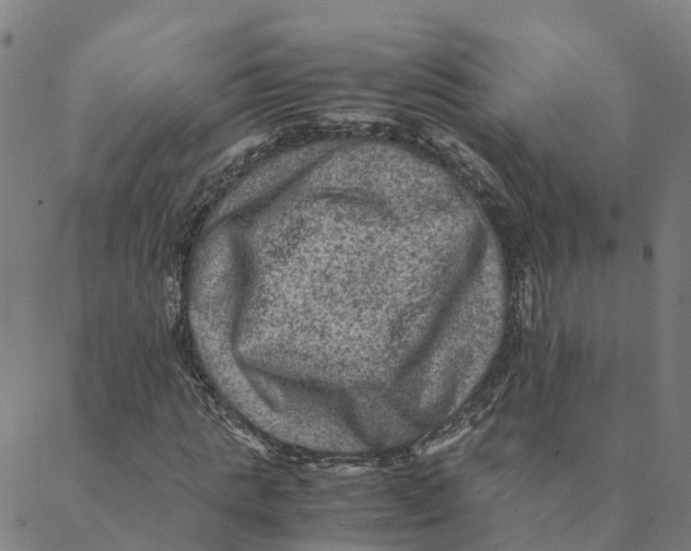 X0000088400821200706191355