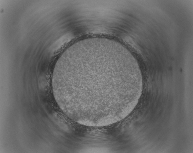 X0000088400824200706191355