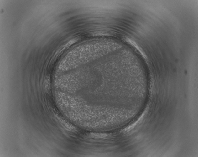 X0000088400825200706191355