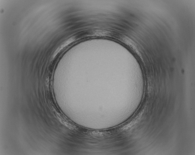 X0000088400827200706191355