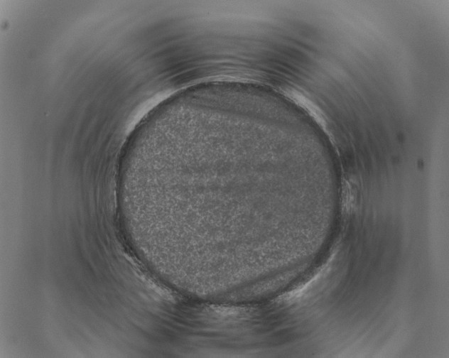 X0000088400829200706191355