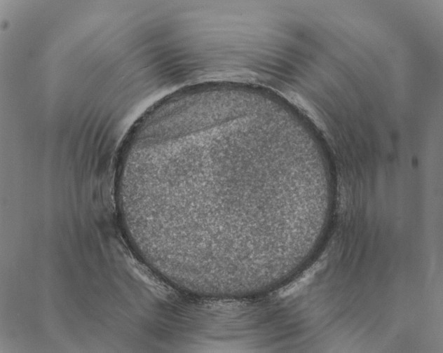 X0000088400830200706191355