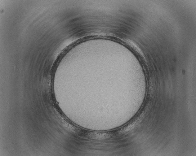 X0000088400831200706191355