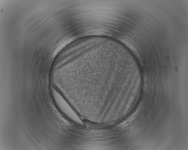 X0000088400834200706191355