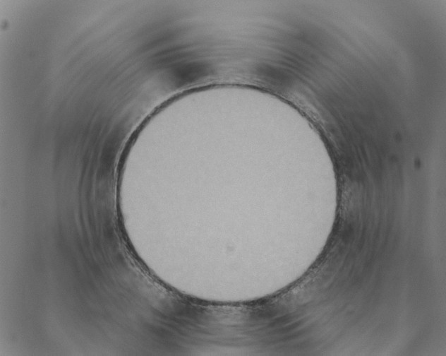 X0000088400836200706191355