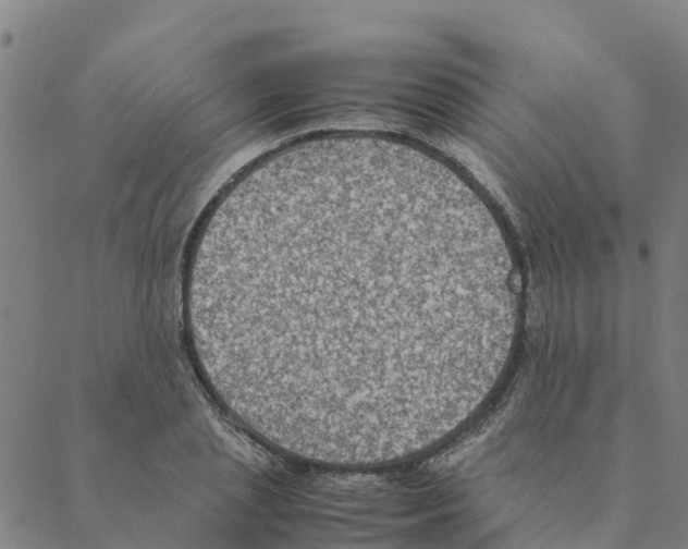 X0000088400837200706191355