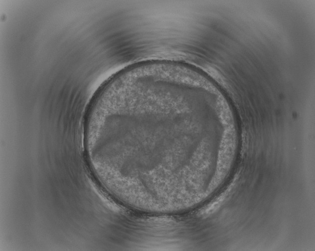 X0000088400838200706191355