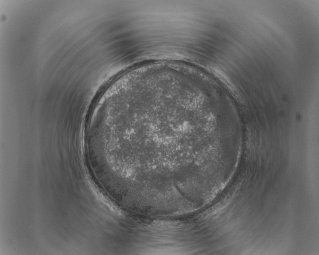 X0000088400840200706191355