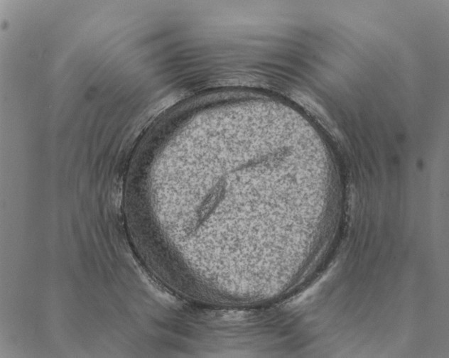 X0000088400841200706191355